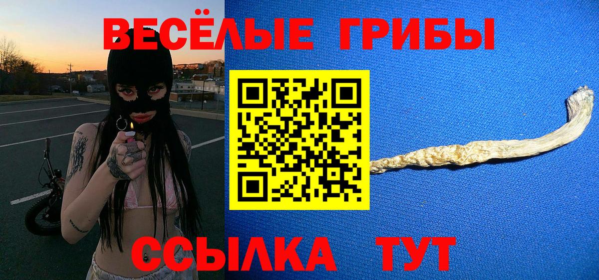 Коммунар  Галлюциногенные грибы Magic Shrooms  Вход с VPN  Галлюциногенные грибы Magic Shrooms 