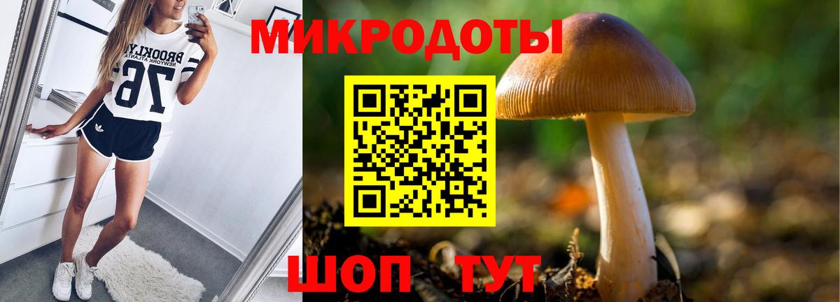 Псилоцибиновые грибы мицелий Коммунар
